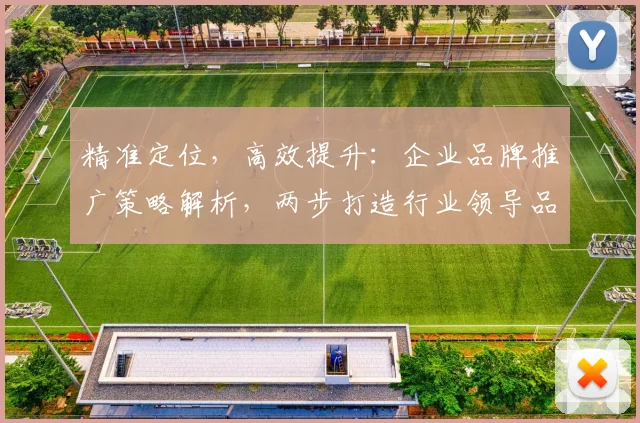 精准定位，高效提升：企业品牌推广策略解析，两步打造行业领导品牌