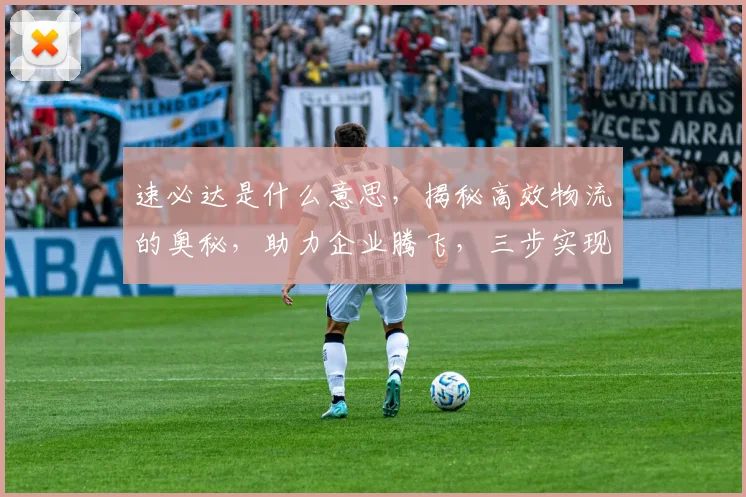 速必达是什么意思，揭秘高效物流的奥秘，助力企业腾飞，三步实现高效配送