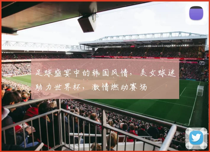 足球盛宴中的韩国风情，美女球迷助力世界杯，激情燃动赛场