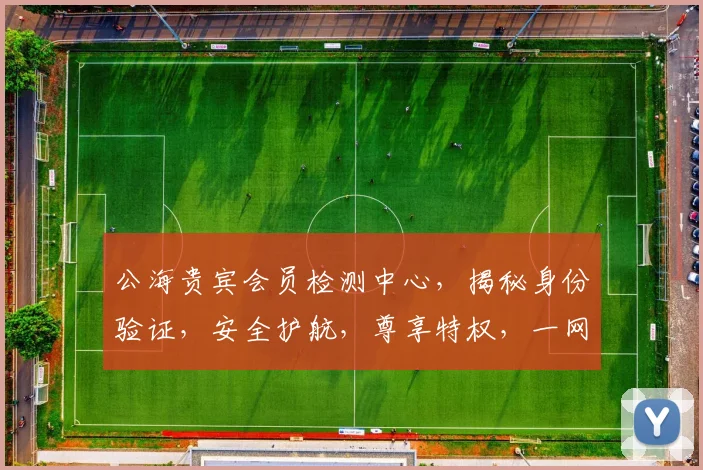 公海贵宾会员检测中心，揭秘身份验证，安全护航，尊享特权，一网打尽