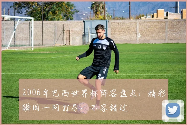 2006年巴西世界杯阵容盘点，精彩瞬间一网打尽，不容错过