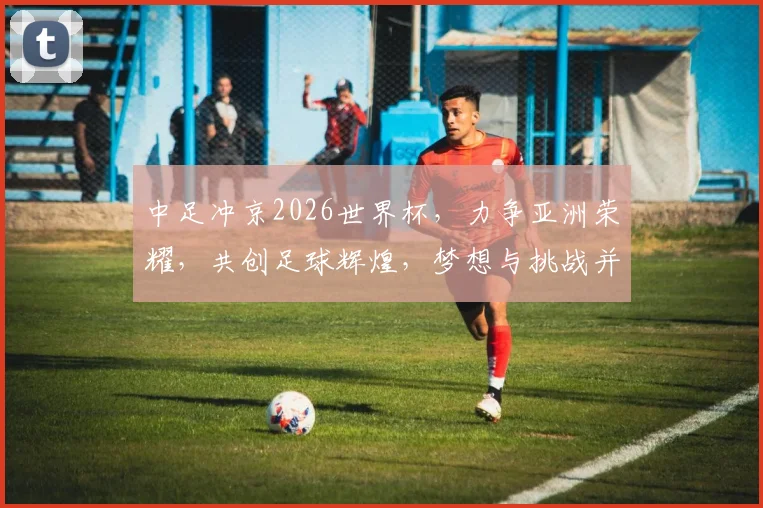 中足冲京2026世界杯，力争亚洲荣耀，共创足球辉煌，梦想与挑战并存