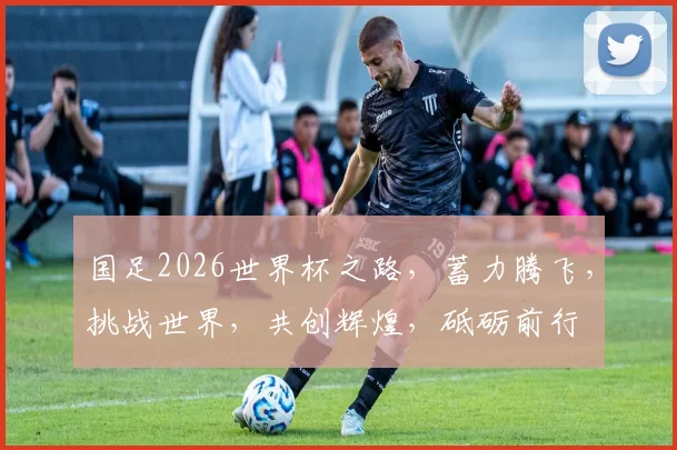 国足2026世界杯之路，蓄力腾飞，挑战世界，共创辉煌，砥砺前行
